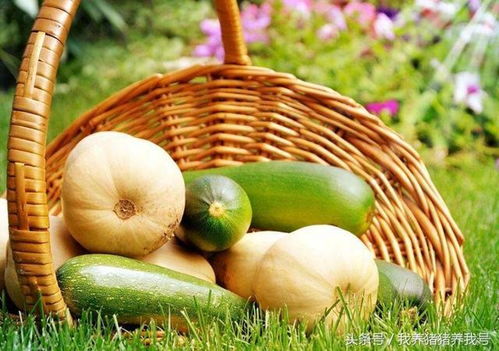 農(nóng)產(chǎn)品蔬菜品牌應具備的氣質