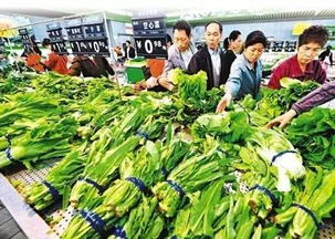 春節(jié)前菜市場探秘 蔬菜、水產(chǎn)、肉類價格與供應全解析