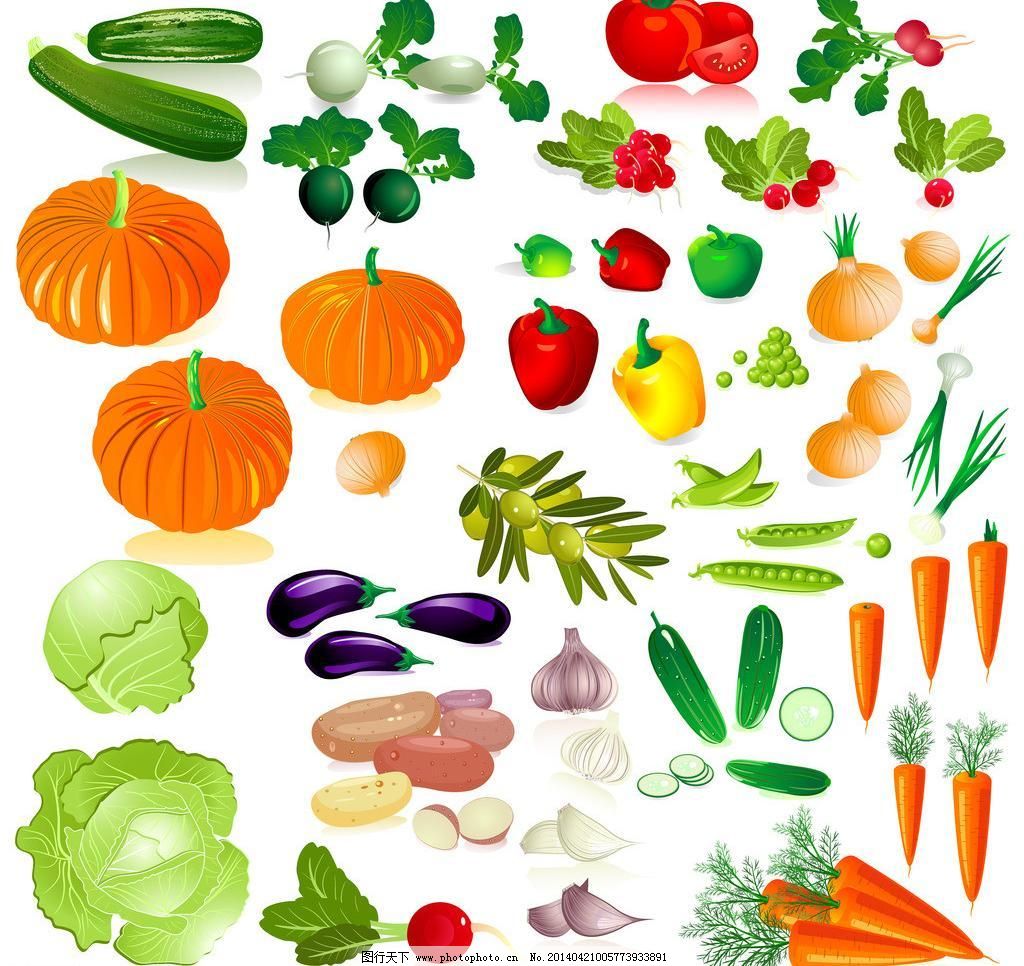 蔬菜之美 大蒜、番茄、橄欖、胡蘿卜與黃瓜的營養(yǎng)與烹飪探秘